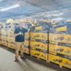 Dewalt tool pallets for sale - Image 4
